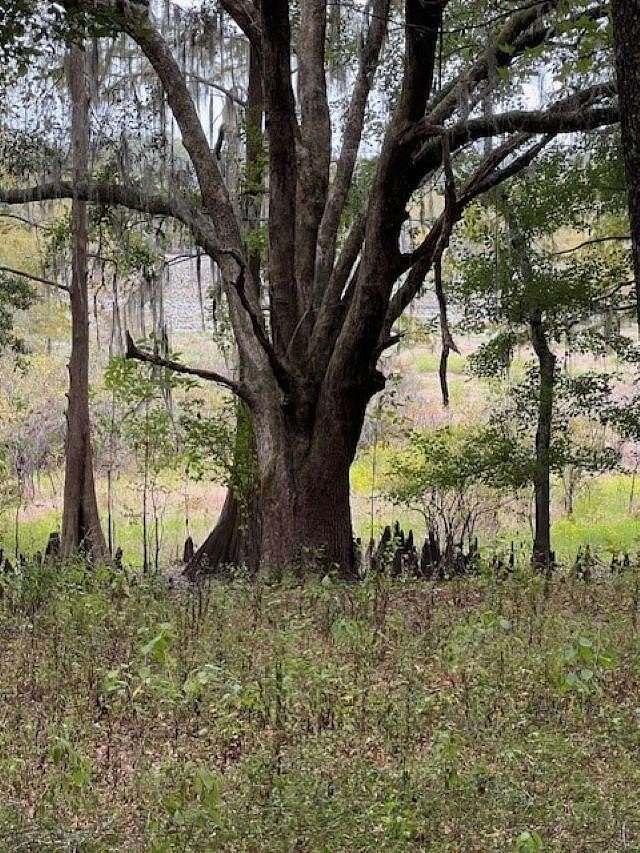 2 Acres of Residential Land for Sale in Tallahassee, Florida