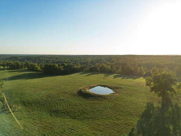 157 Acres of Land for Sale in Licking, Missouri