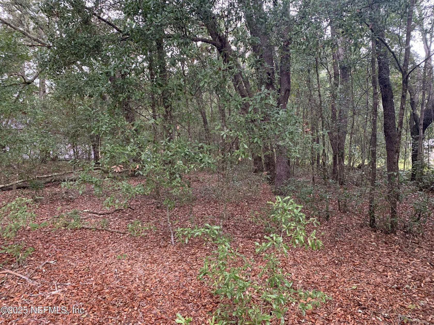 0.66 Acres of Land for Sale in Interlachen, Florida