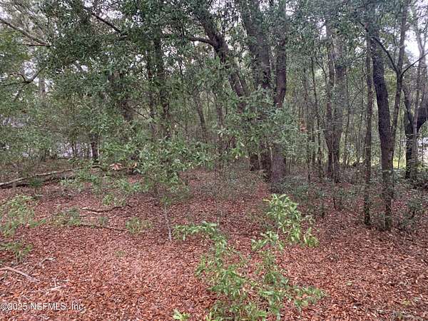 0.66 Acres of Land for Sale in Interlachen, Florida
