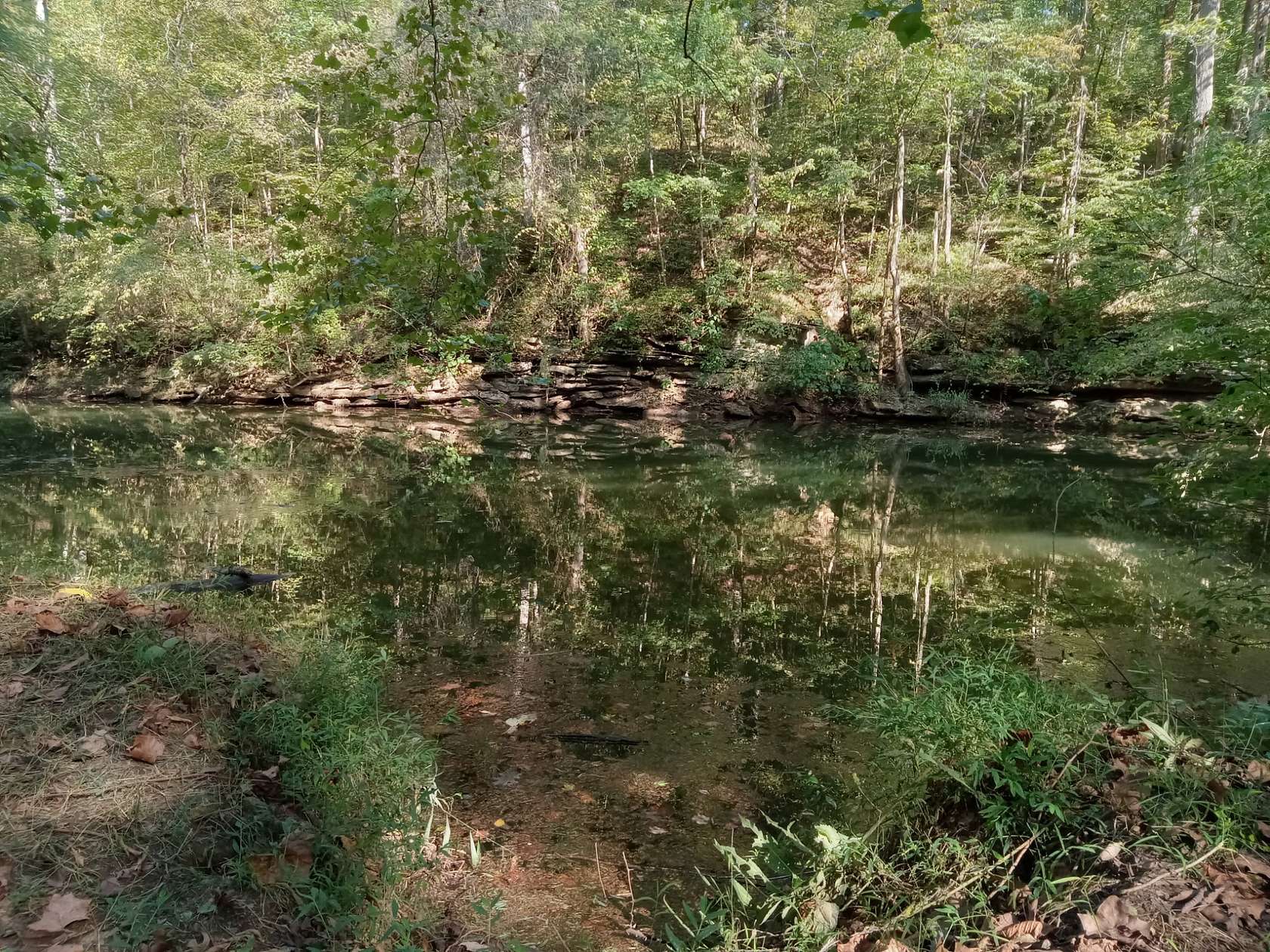 12.3 Acres of Land for Sale in Rock Island, Tennessee