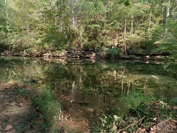 12.3 Acres of Land for Sale in Rock Island, Tennessee