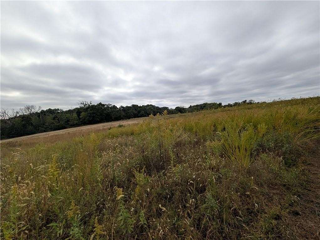 65 Acres of Recreational Land for Sale in Ridgeway, Missouri