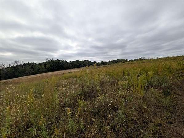 65 Acres of Recreational Land for Sale in Ridgeway, Missouri