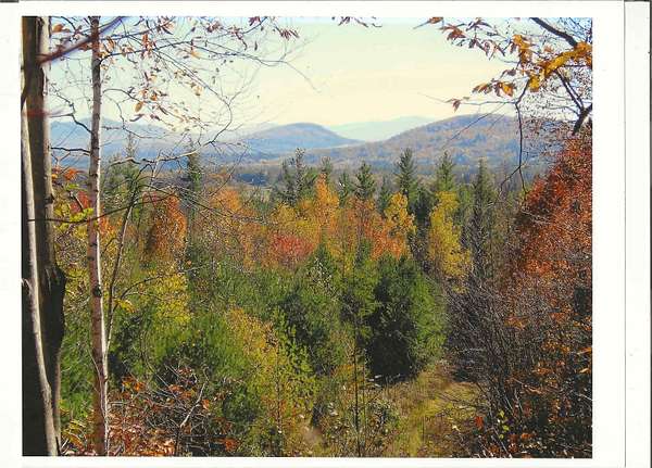 295 Acres of Land for Sale in Guildhall, Vermont