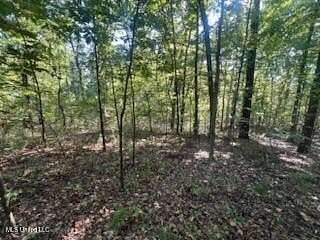 0.46 Acres of Residential Land for Sale in Hernando, Mississippi