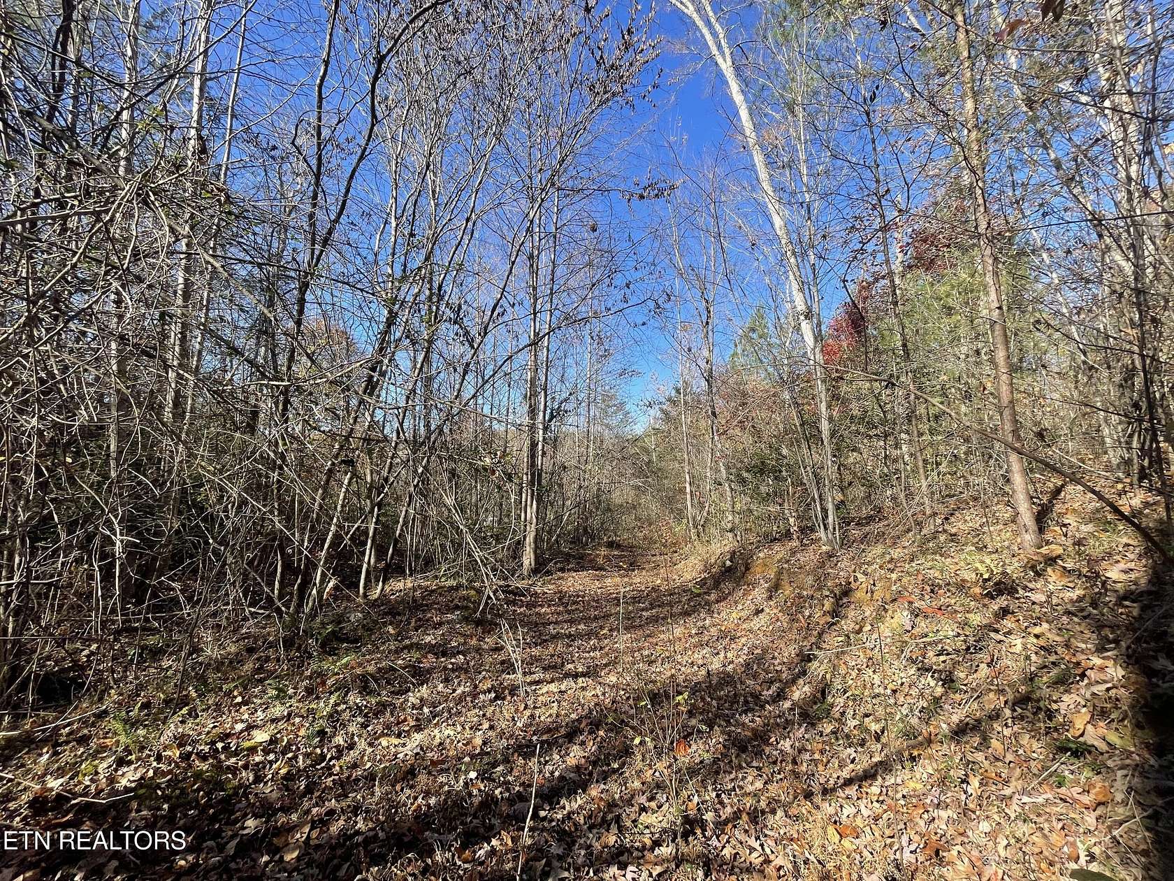 8.3 Acres of Residential Land for Sale in Tellico Plains, Tennessee