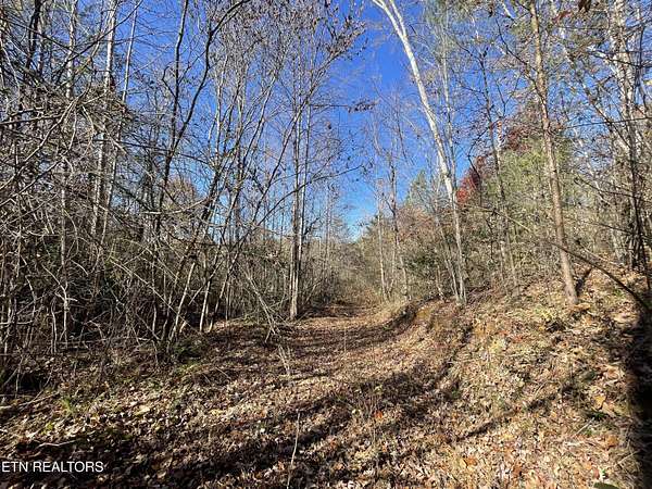 8.3 Acres of Residential Land for Sale in Tellico Plains, Tennessee