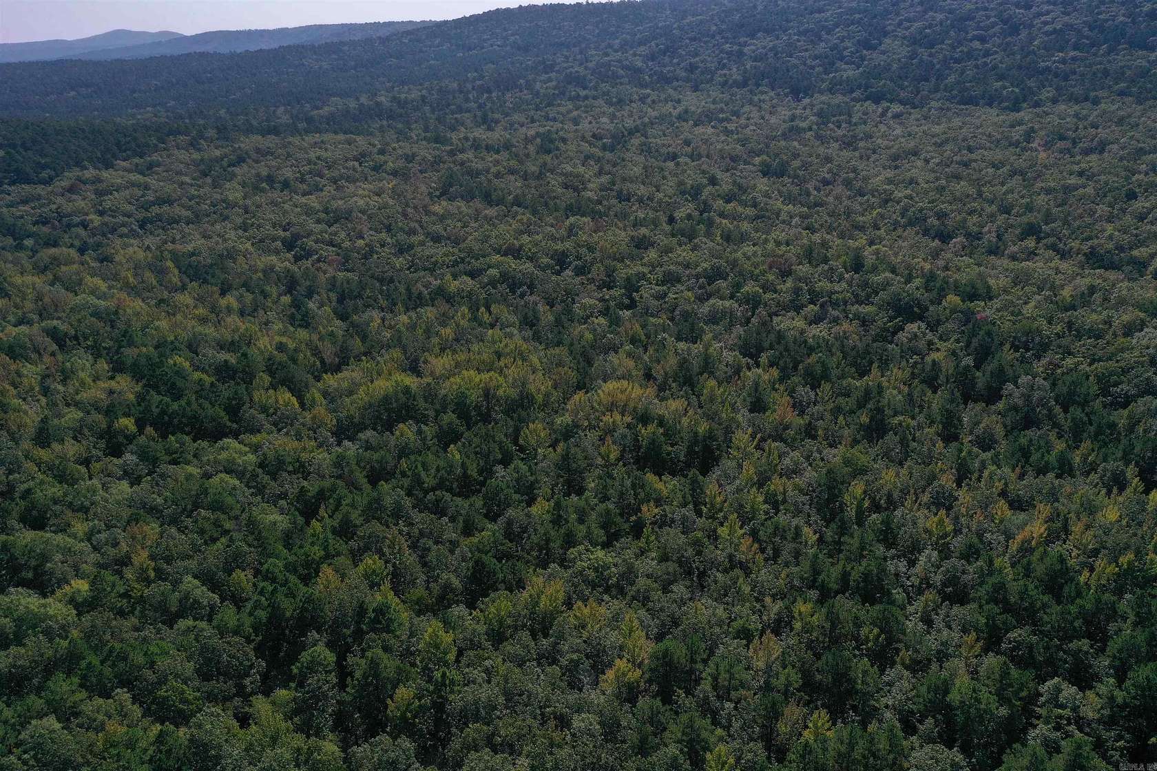 160 Acres of Recreational Land for Sale in Bluffton, Arkansas