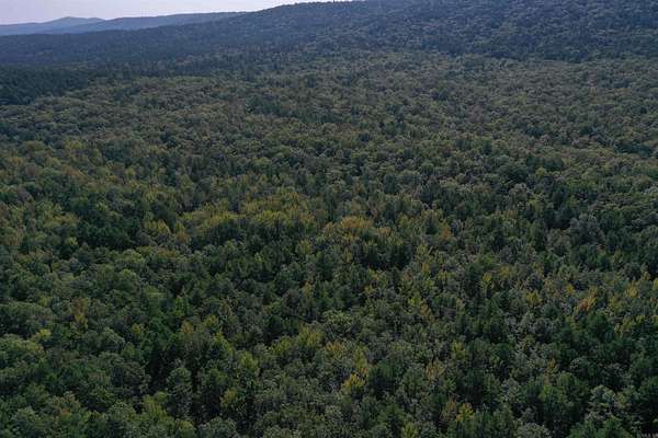 160 Acres of Recreational Land for Sale in Bluffton, Arkansas