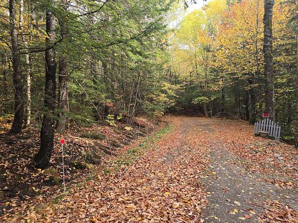1.25 Acres of Land for Sale in Island Falls, Maine
