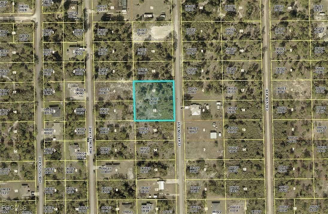 1 Acre of Residential Land for Sale in Lehigh Acres, Florida