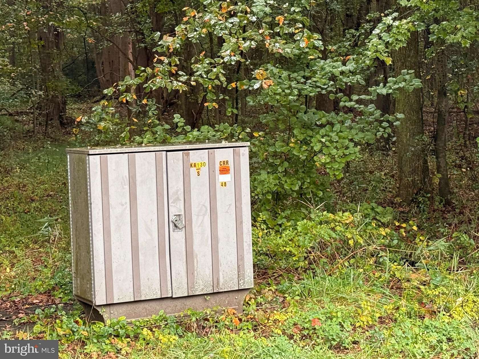 65.3 Acres of Recreational Land for Sale in Felton, Delaware