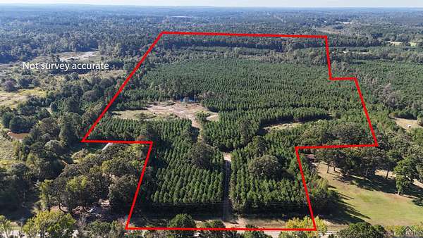 19.2 Acres of Recreational Land for Sale in Jefferson, Texas