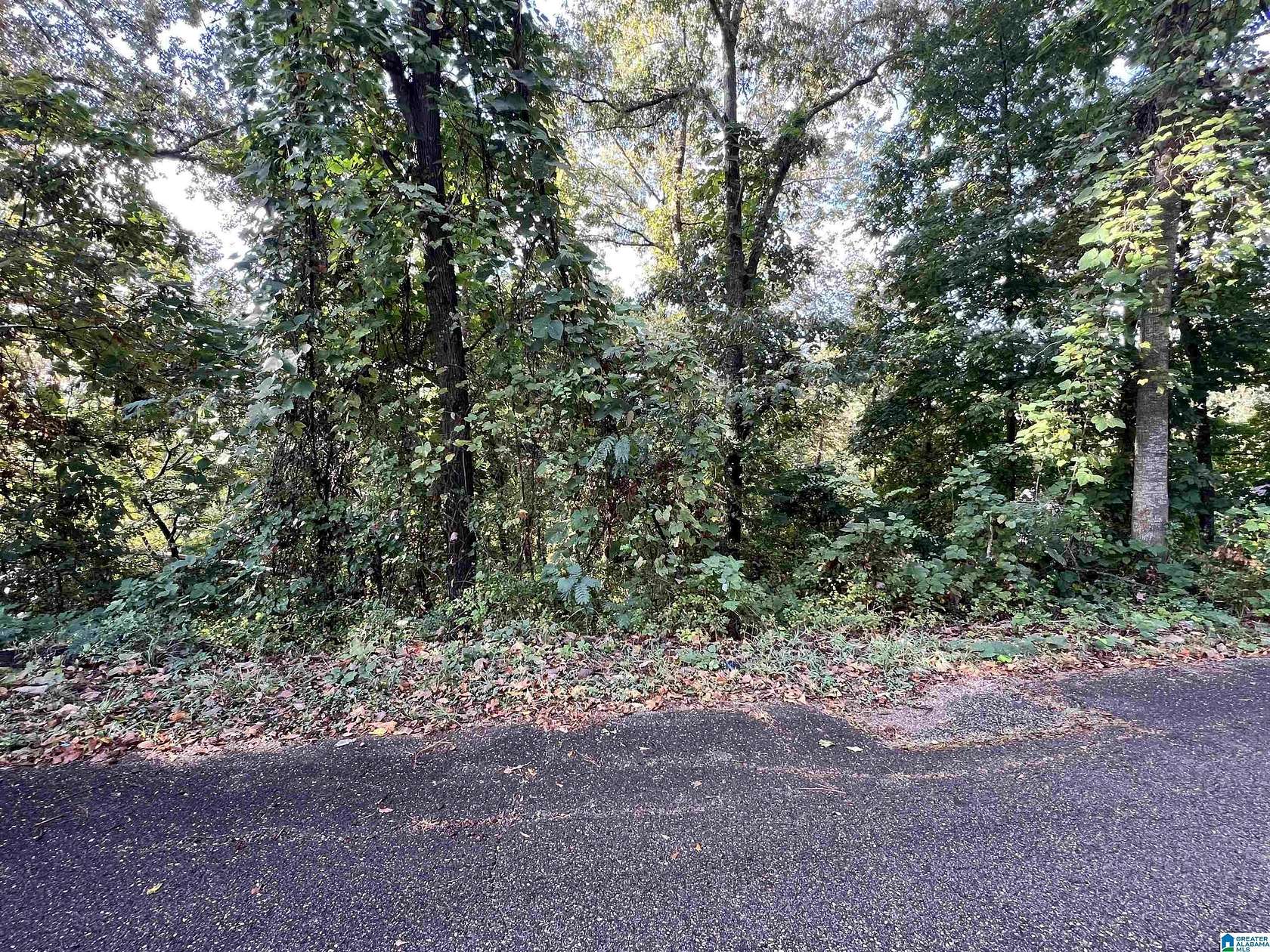 0.56 Acres of Residential Land for Sale in Oxford, Alabama