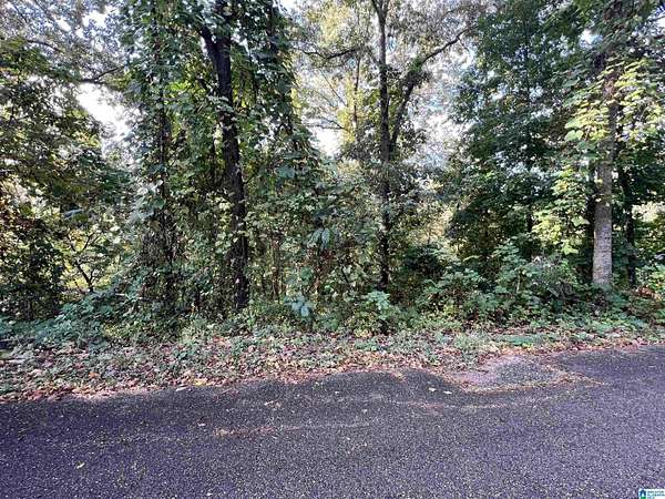0.56 Acres of Residential Land for Sale in Oxford, Alabama