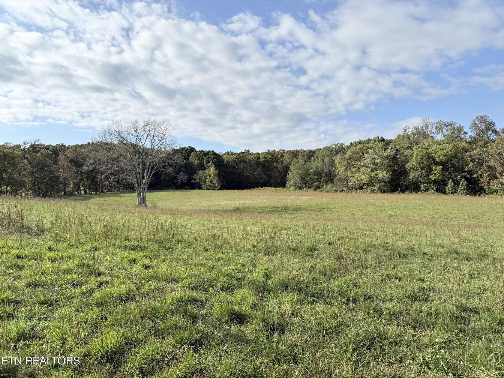 18.6 Acres of Agricultural Land for Sale in Philadelphia, Tennessee