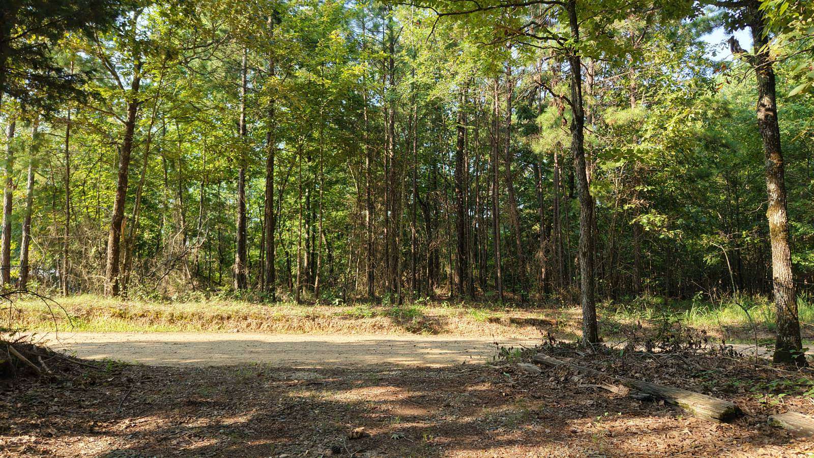 20 Acres of Recreational Land for Sale in Hatfield, Arkansas
