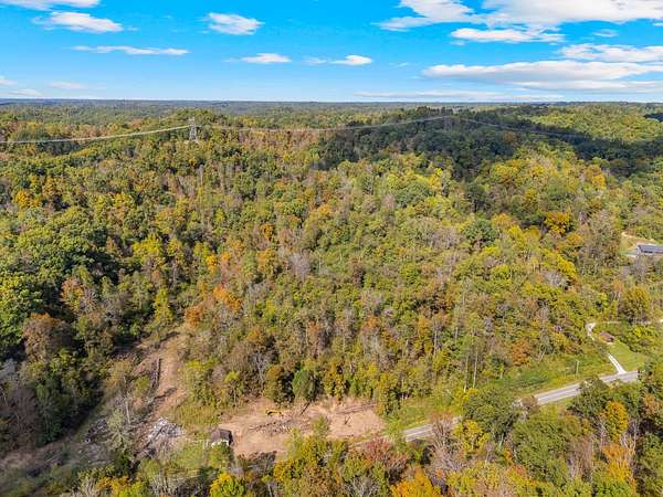 60.1 Acres of Land for Sale in Lesage, West Virginia