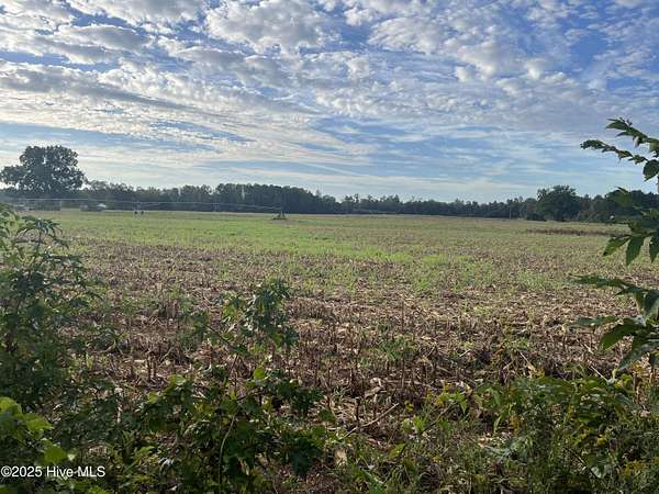 116 Acres of Recreational Land & Farm for Sale in Trenton, North Carolina