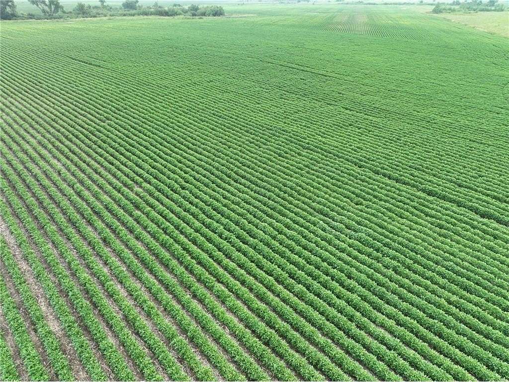 115 Acres of Recreational Land & Farm for Auction in Benson, Minnesota