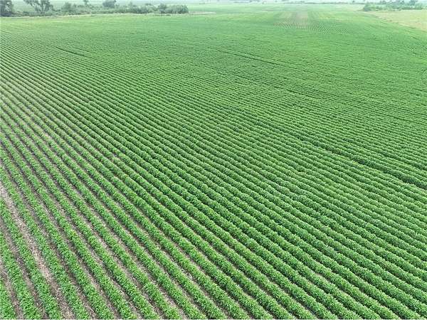 115 Acres of Recreational Land & Farm for Auction in Benson, Minnesota