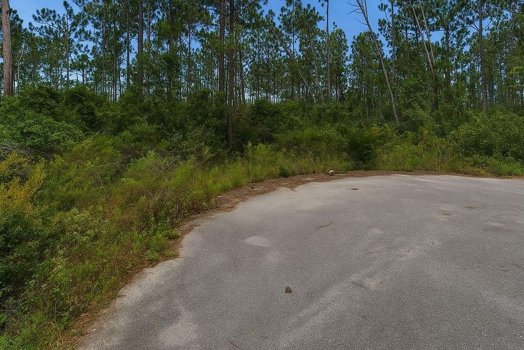 0.93 Acres of Residential Land for Sale in Wewahitchka, Florida