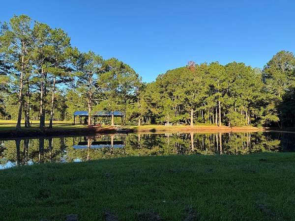 68.3 Acres of Agricultural Land for Sale in Ochlocknee, Georgia