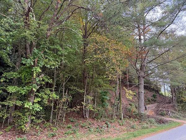 25 Acres of Recreational Land & Farm for Sale in Tuckasegee, North Carolina