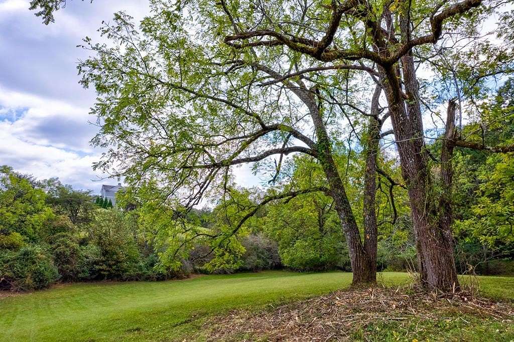 6.89 Acres of Land for Sale in Blairsville, Georgia