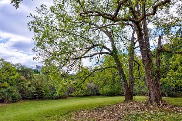 6.89 Acres of Land for Sale in Blairsville, Georgia