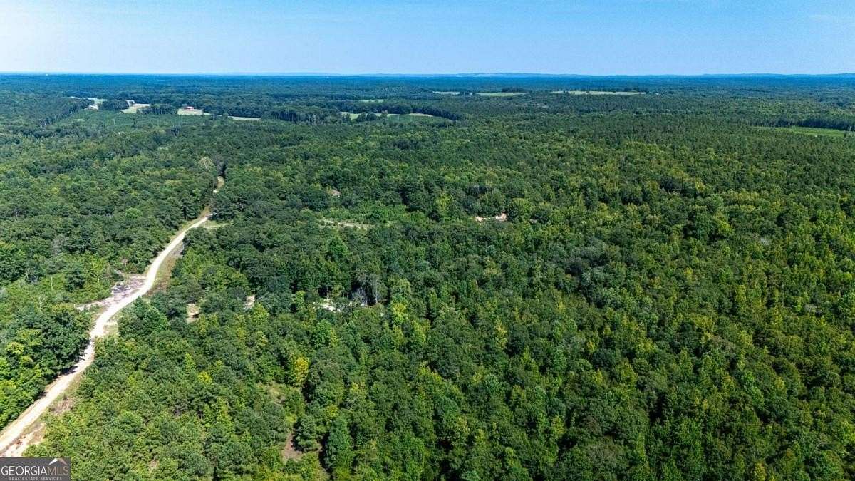 10.7 Acres of Land for Sale in Greenville, Georgia