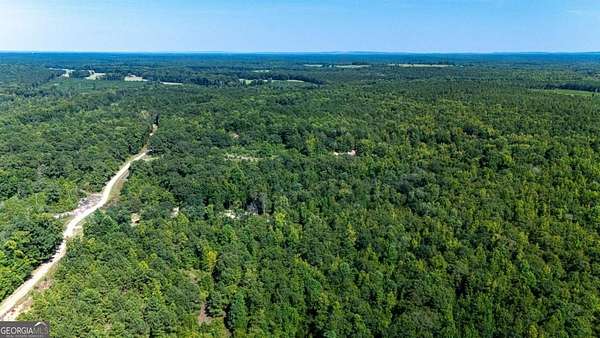 10.7 Acres of Land for Sale in Greenville, Georgia