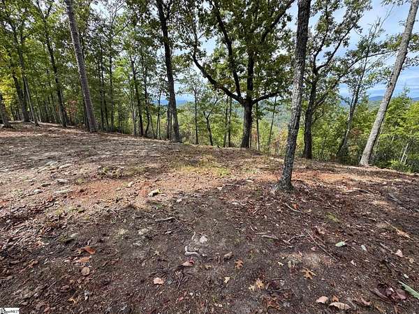 3.6 Acres of Residential Land for Sale in Marietta, South Carolina