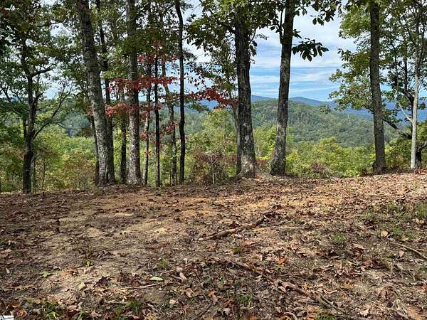 2 Acres of Residential Land for Sale in Marietta, South Carolina