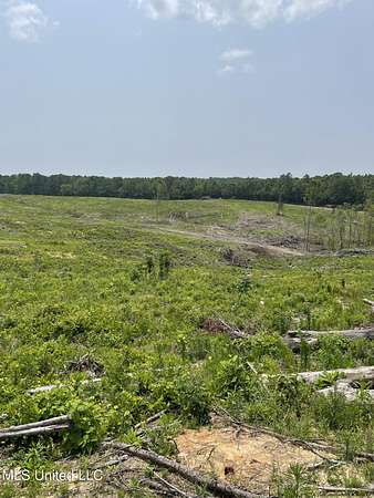 155 Acres of Recreational Land for Sale in Coffeeville, Mississippi