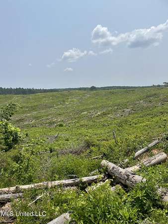 94.8 Acres of Recreational Land for Sale in Carrollton, Mississippi