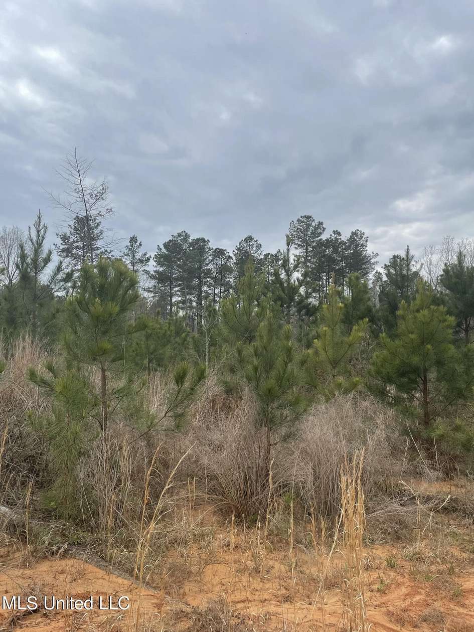 33.8 Acres of Recreational Land for Sale in Calhoun City, Mississippi