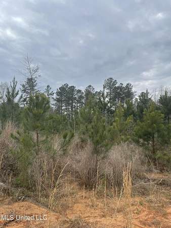 33.8 Acres of Recreational Land for Sale in Calhoun City, Mississippi