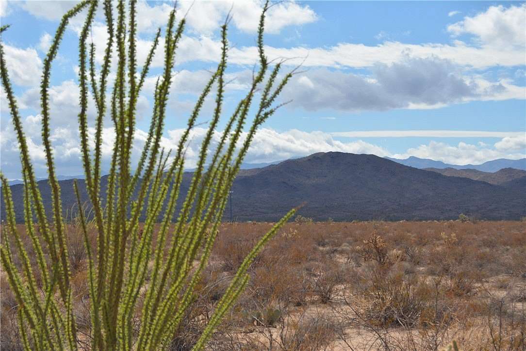 40 Acres of Recreational Land for Sale in Yucca, Arizona