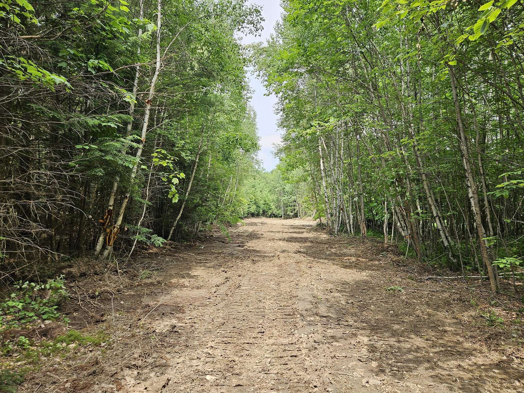 261 Acres of Land for Sale in New Vineyard, Maine