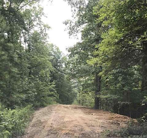 20 Acres of Land for Sale in Jessieville, Arkansas