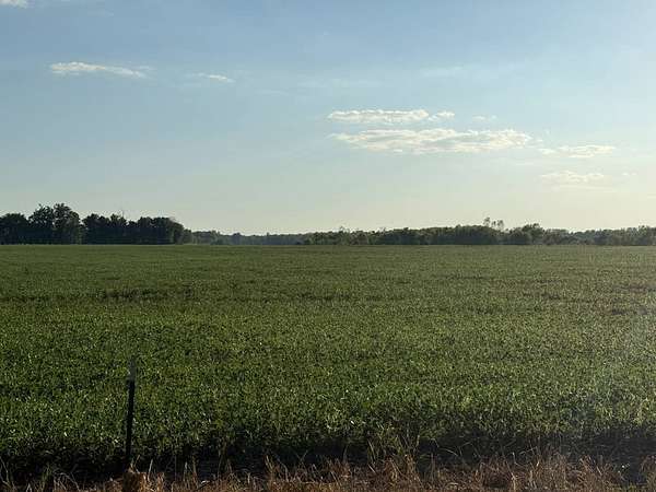 64 Acres of Recreational Land & Farm for Auction in Henderson, Kentucky