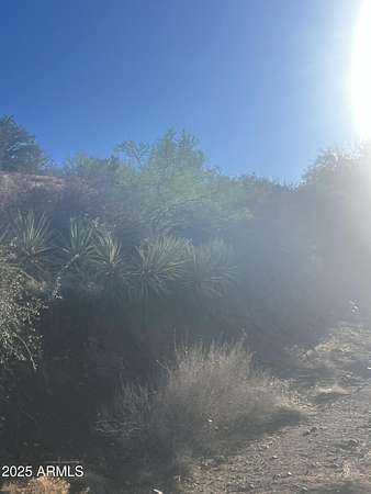 13.8 Acres of Land for Sale in Globe, Arizona