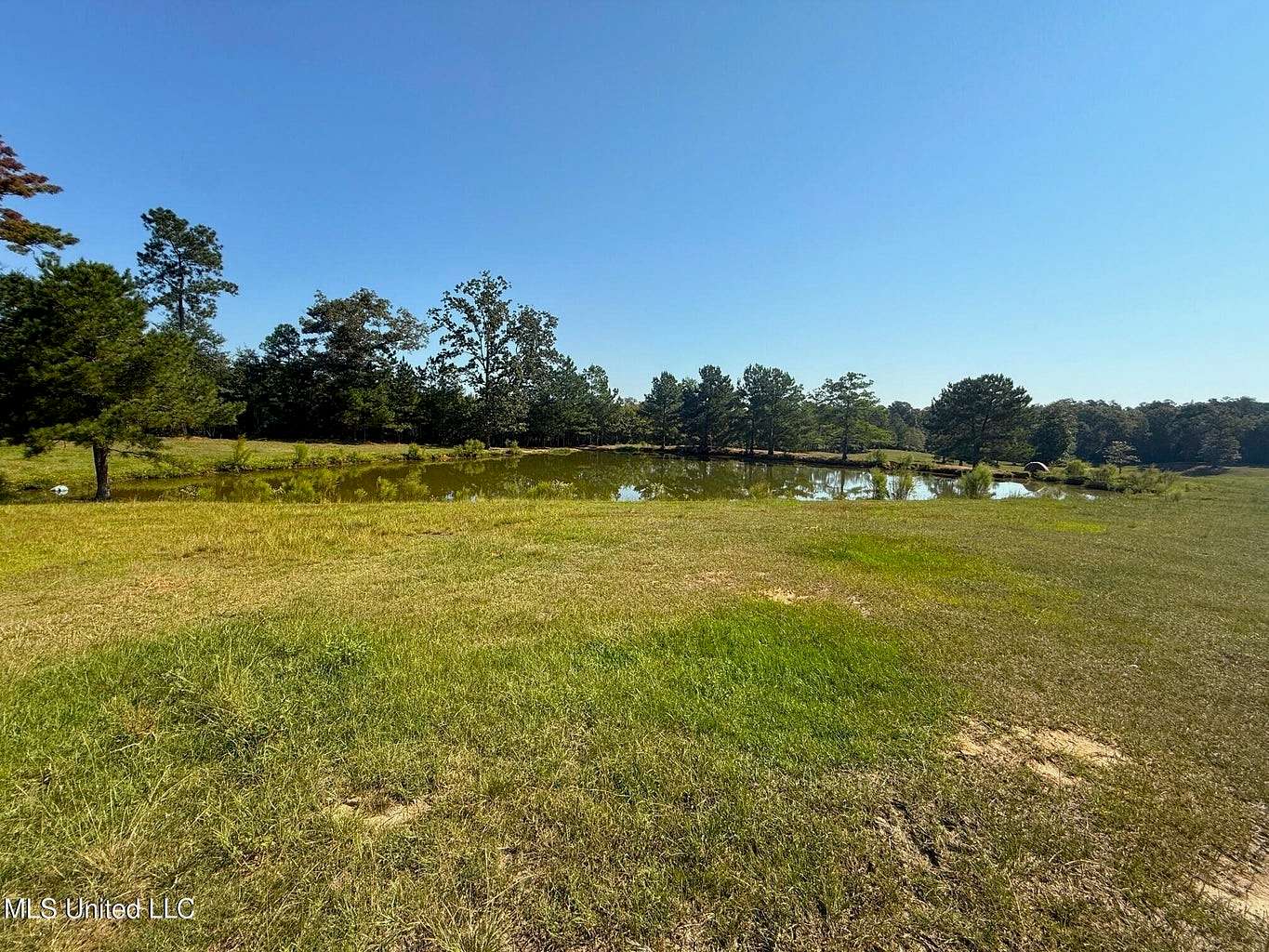 116 Acres of Land for Sale in McComb, Mississippi