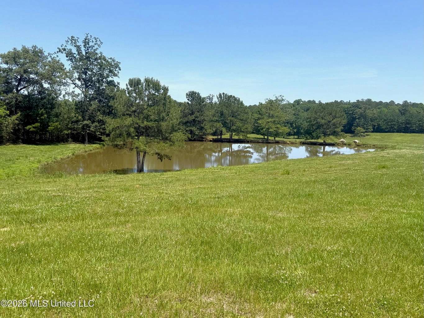 116 Acres of Land for Sale in McComb, Mississippi