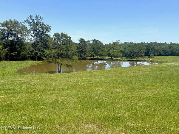116 Acres of Land for Sale in McComb, Mississippi