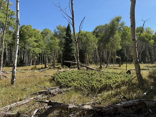1 Acre of Residential Land for Sale in Cimarron, Colorado