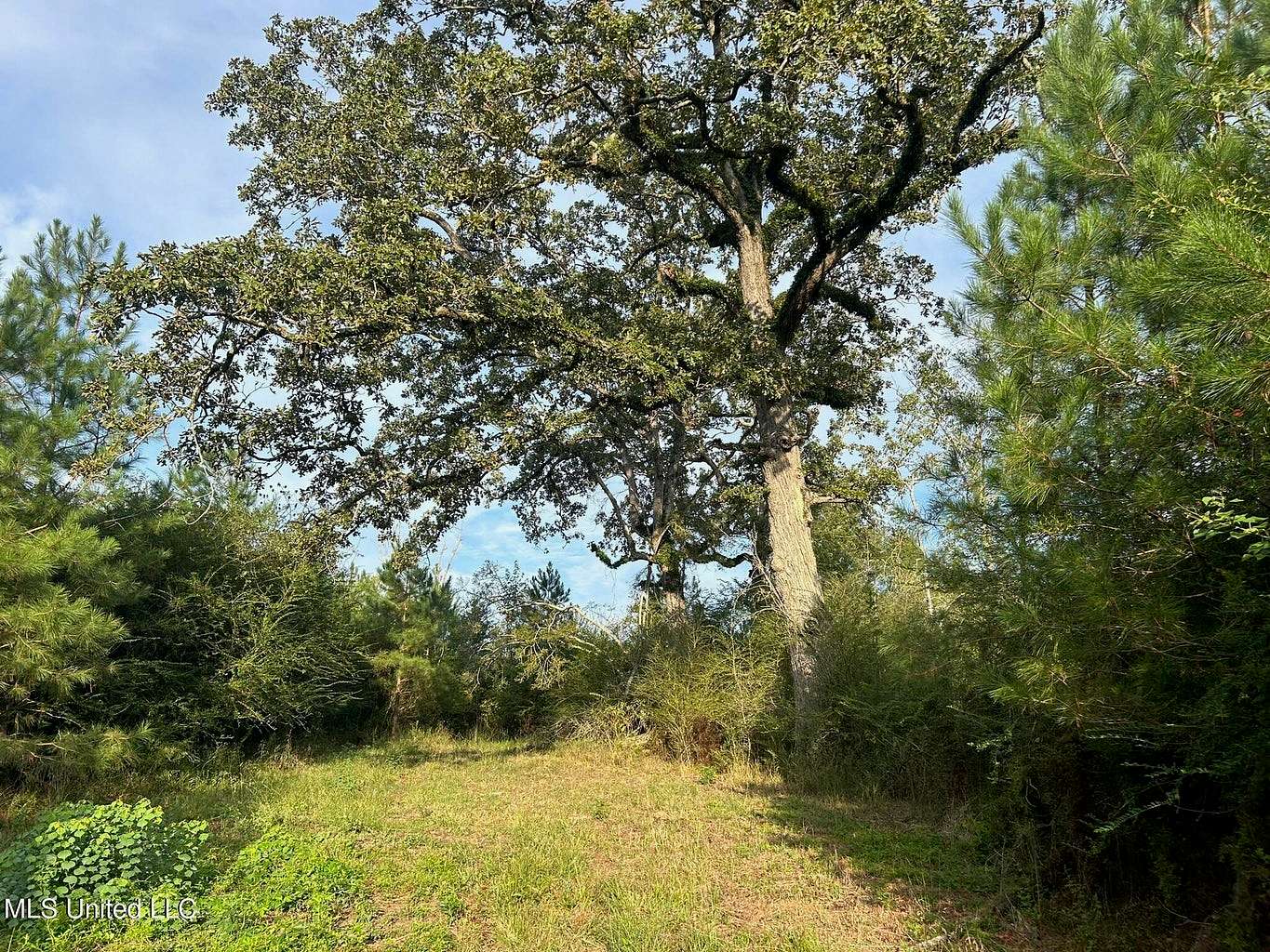 11.5 Acres of Land for Sale in Summit, Mississippi