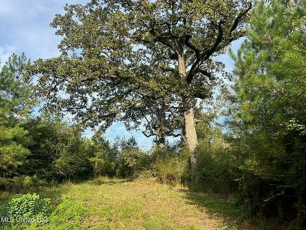 11.5 Acres of Land for Sale in Summit, Mississippi